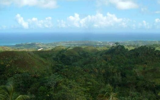 Hilltop Land with Wide Ocean Views