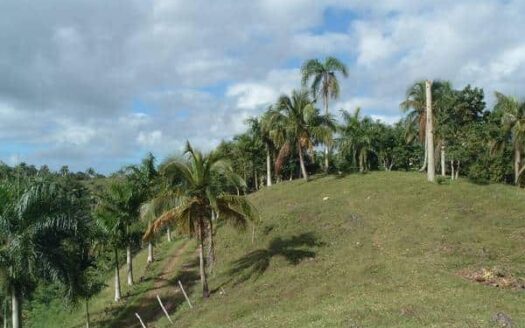 Hilltop Land with Wide Ocean Views