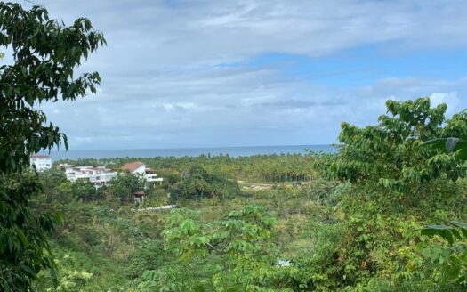 Lot with ocean view by Coson