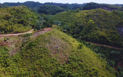 Oceanview land within Sienna project