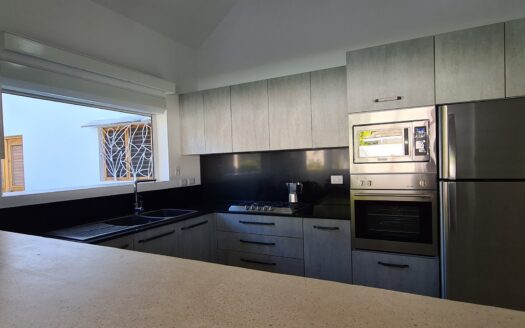 5-BR villa step from Punta Popy Beach