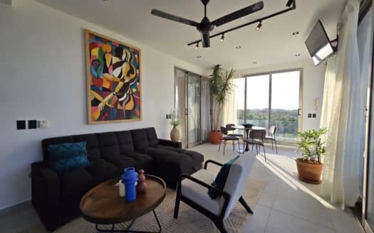 Penthouse in the Center Ocean View