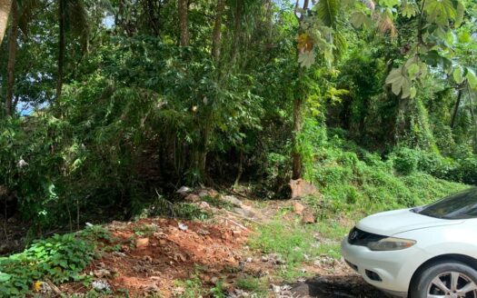 Lot with ocean view by Coson