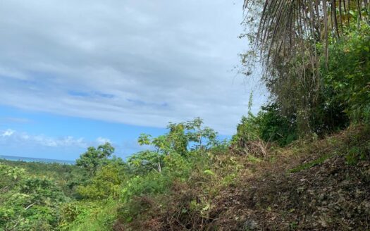 Lot with ocean view by Coson