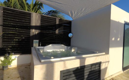Stylish penthouse in beachfront apart-hotel