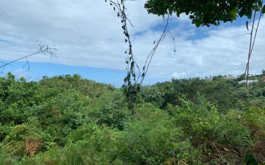 Lot with ocean view by Coson