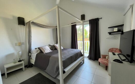 Minimalist Luxury Villas in Tropical Paradise