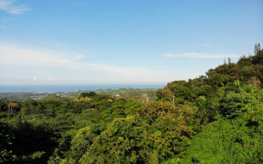 Lots in gated community with breathtaking views