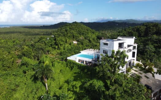 Unique and Renovated 7-BR Oceanview Villa