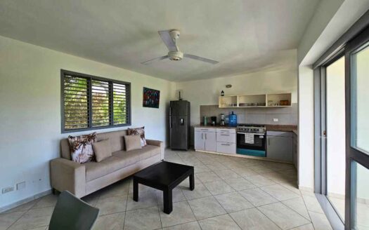 Penthouse opportunity steps from Punta Popy beach