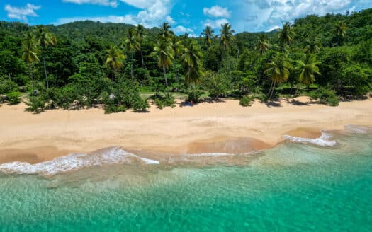 Oceanfront land for your million-dollar mansion