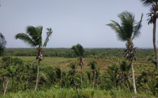 Land on a hill over-viewing the Atlantic