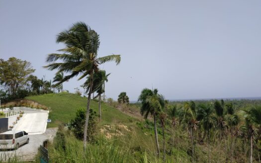 Land on a hill over-viewing the Atlantic