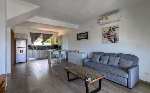 Modern penthouse with private terrace in town