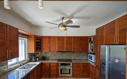 4-BR penthouse with stunning view