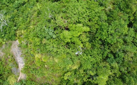 Prime ocean view development land in Coson