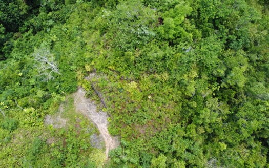 Prime ocean view development land in Coson