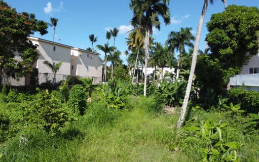 Ideal Plot for Development in Punta Popy