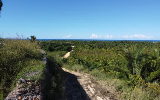Lot with ocean view on a first-line hill in Portillo