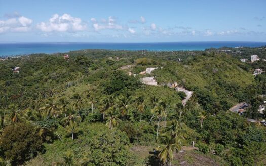 Prime development project for Sale in Coson