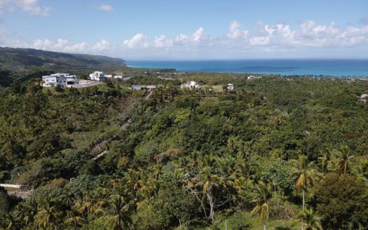 Prime development project for Sale in Coson