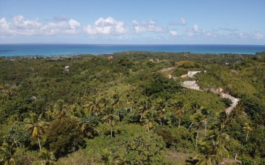 Prime development project for Sale in Coson