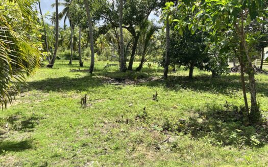 Lots close to the beach