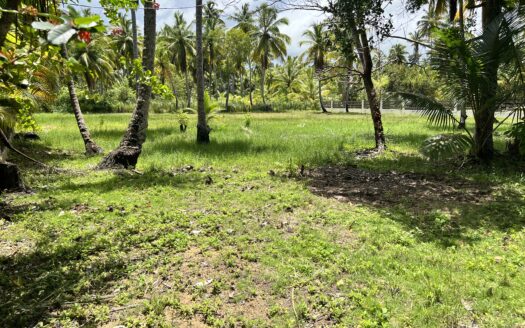 Lots close to the beach