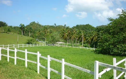 Ranch ideal for ecological project