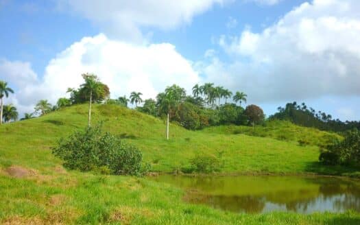 Ranch ideal for ecological project