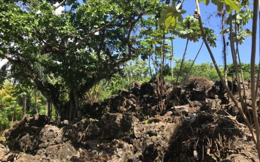 Beachfront lot with a small hill and stunning ocean view