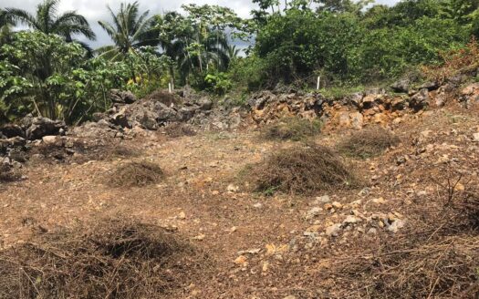Beachfront lot with a small hill and stunning ocean view
