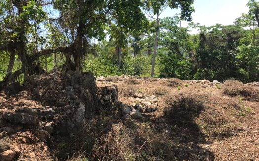 Beachfront lot with a small hill and stunning ocean view