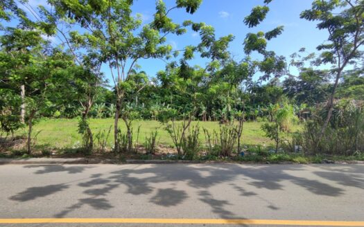 Flat land for development at the entry of Las Terrenas