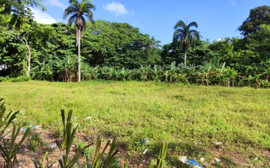 Flat land for development at the entry of Las Terrenas