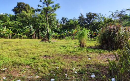 Flat land for development at the entry of Las Terrenas