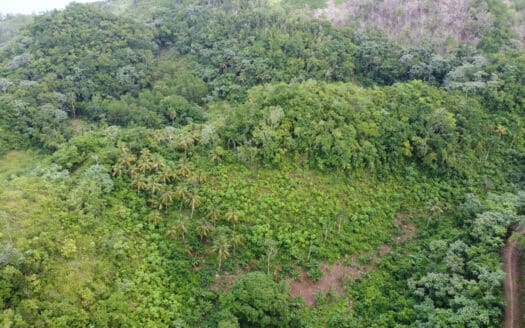 Exceptional land opportunity with Atlantic Ocean views on Coson