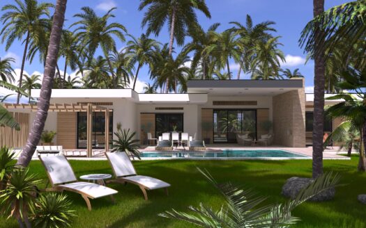 New 7 Villas with private pool steps from Ballena beach