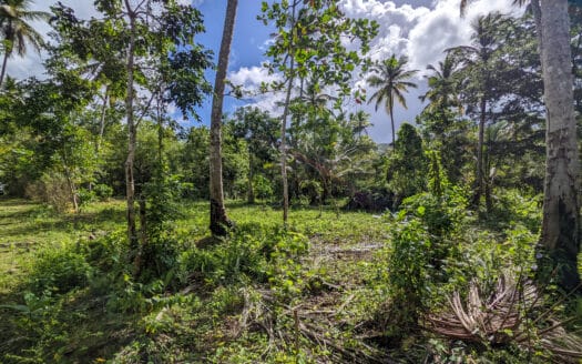 Land near the beach of Coson
