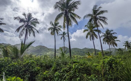 Land near the beach of Coson