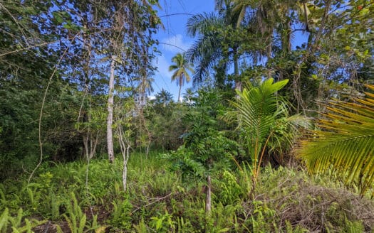 Land near the beach of Coson