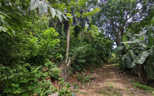 Land at the boulevard with ocean view