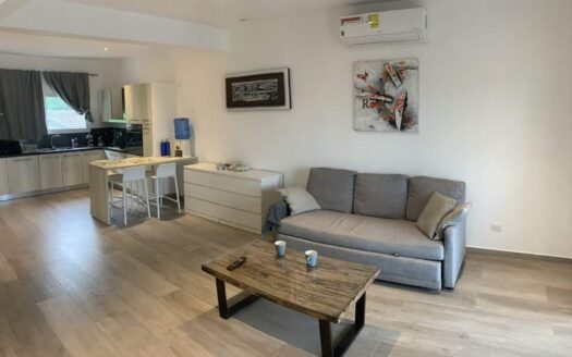 Experience Penthouse Living Near the Beach