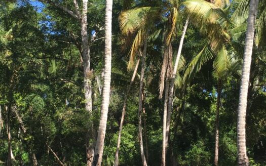 Second-line building lot in El Limon beach