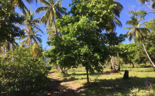 Second-line building lot in El Limon beach