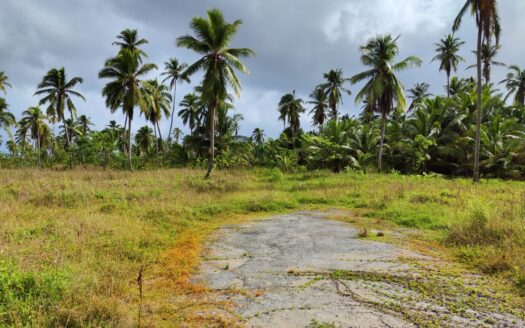 Premium beachfront lots in calm area