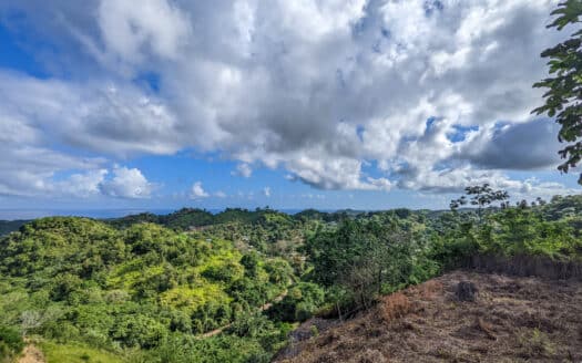 Oceanview view land in Hoyo Cacao