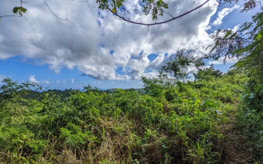 Oceanview view land in Hoyo Cacao