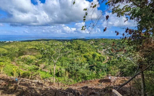 Oceanview view land in Hoyo Cacao