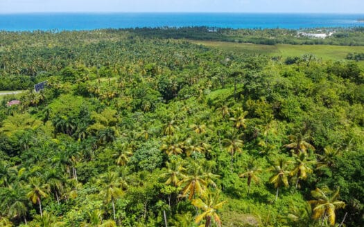 Hill with ocean view by Coson beach